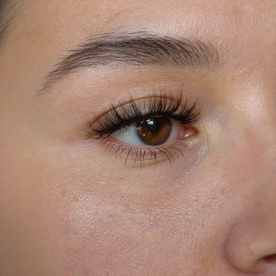 Lashes and Brows